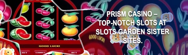 Slots garden no deposit codes
