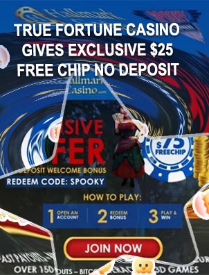 True fortune casino no deposit bonus codes